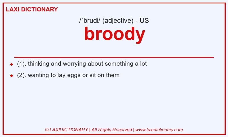 Definition broody in American English