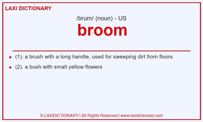 Definition broom in American English