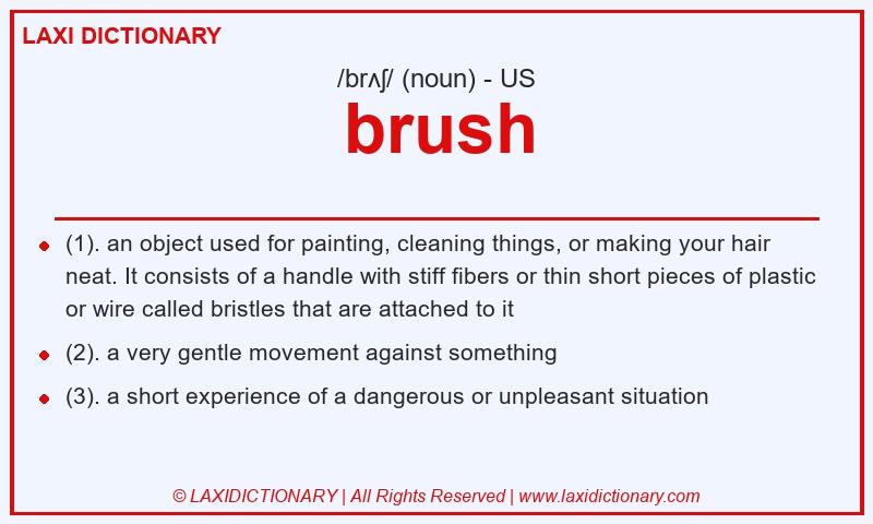 Definition brush in American English