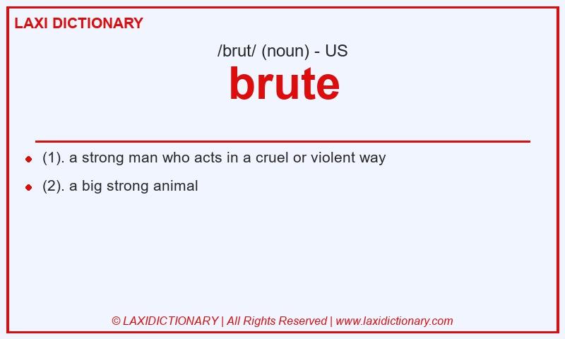 Definition brute in American English