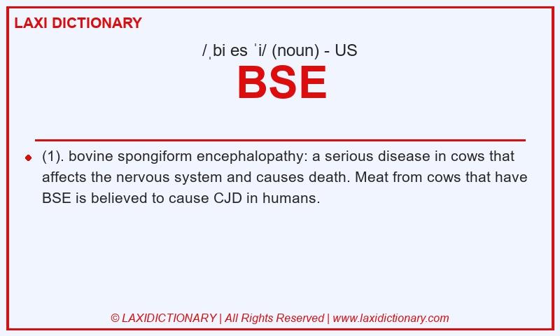 Definition BSE in American English