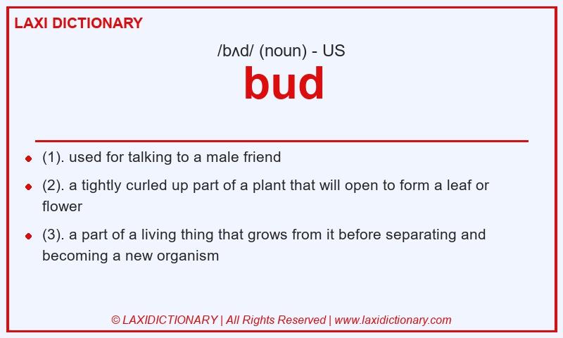 Definition bud in American English
