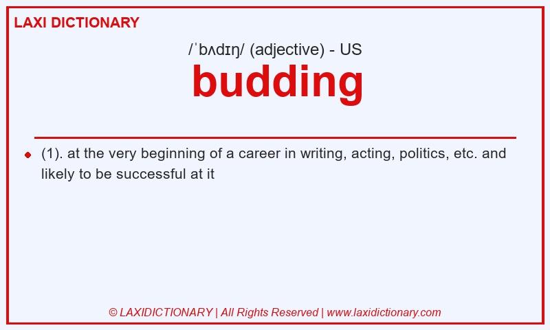 Definition budding in American English