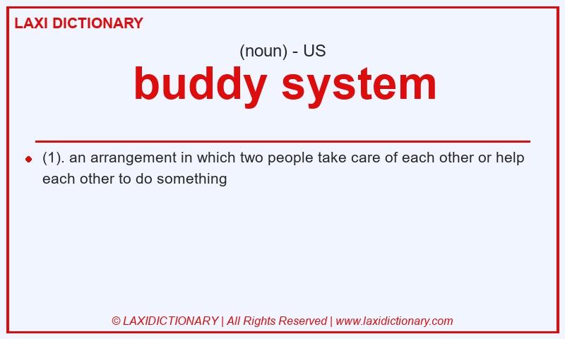 Definition buddy system in American English
