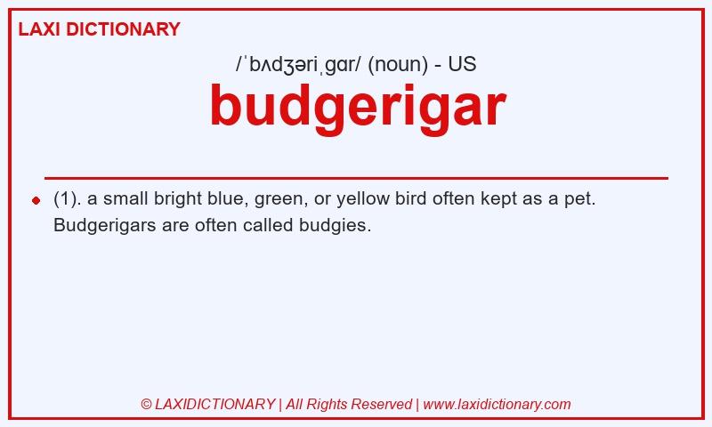 Definition budgerigar in American English