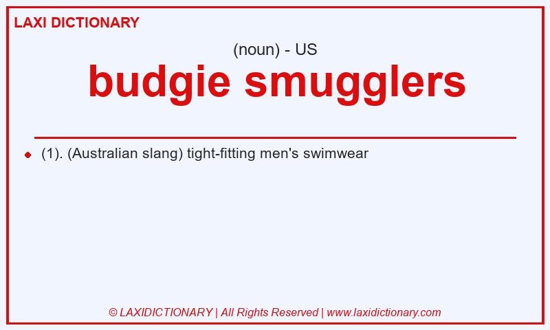 Definition budgie smugglers in American English