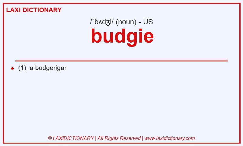 Definition budgie in American English