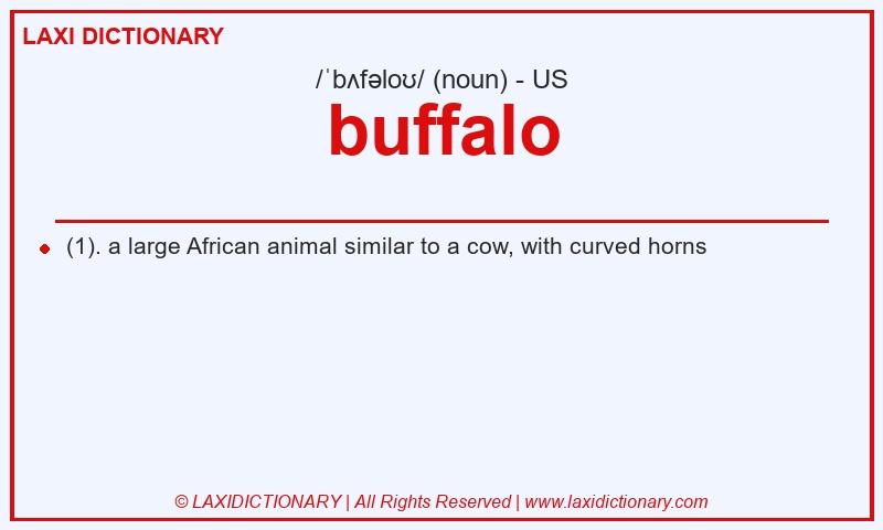 Definition buffalo in American English