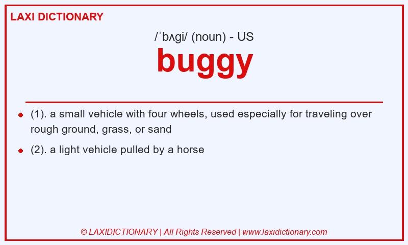 Definition buggy in American English