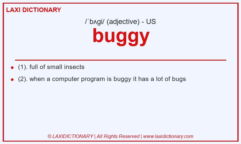 Definition buggy in American English
