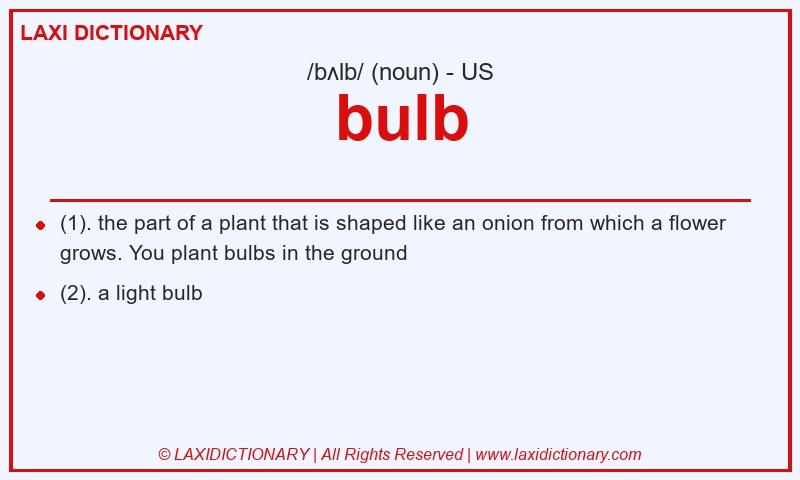 Definition bulb in American English