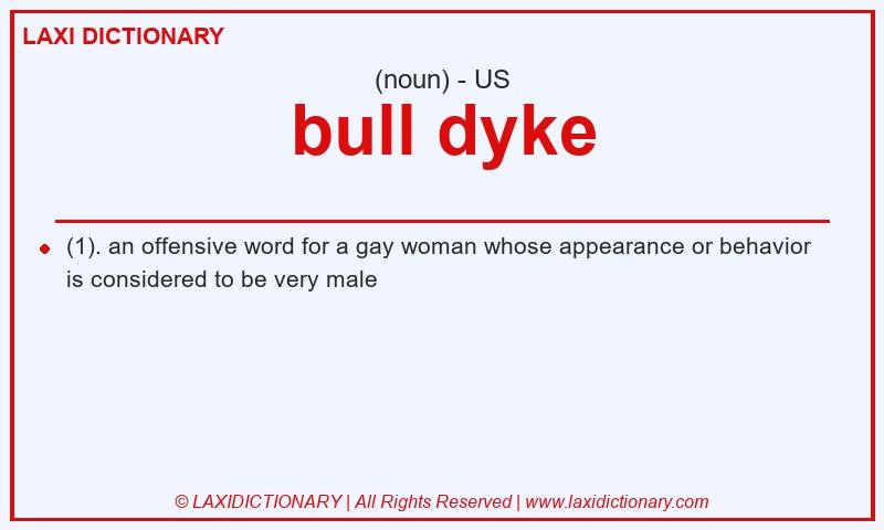 Definition bull dyke in American English