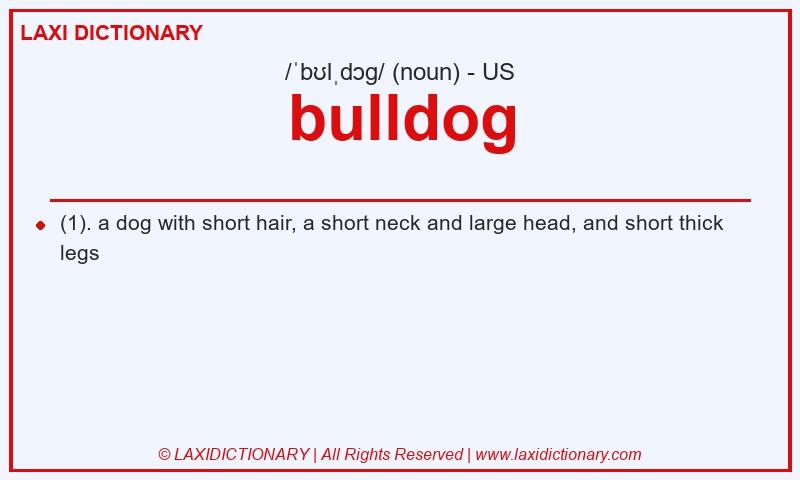 Definition bulldog in American English