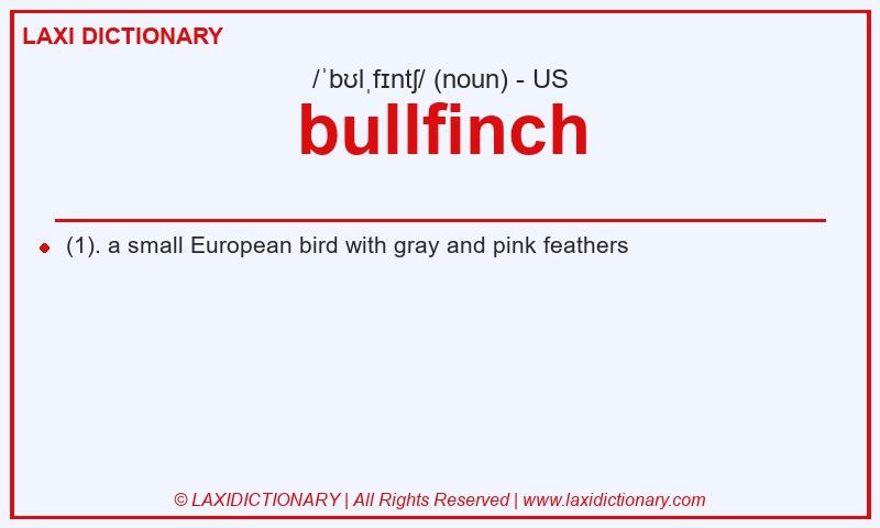 Definition bullfinch in American English