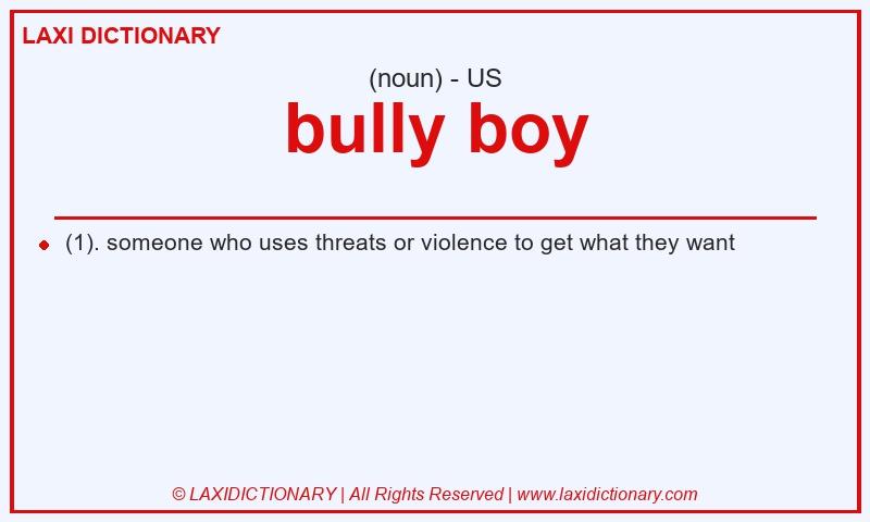 Definition bully boy in American English