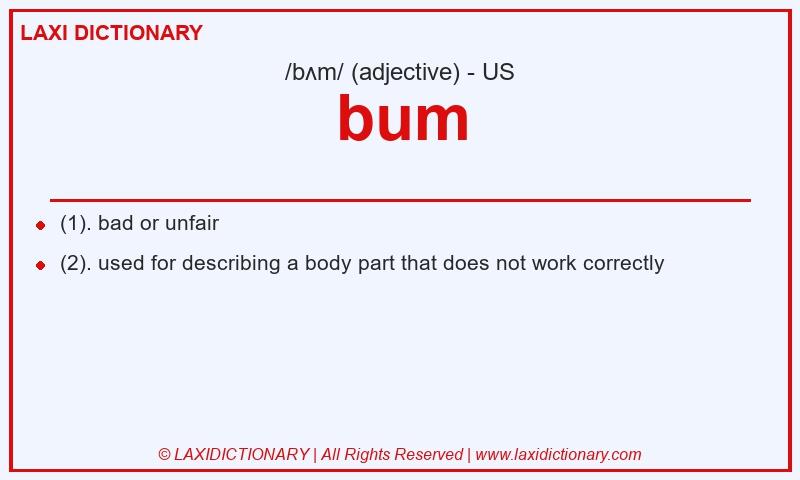 Definition bum in American English