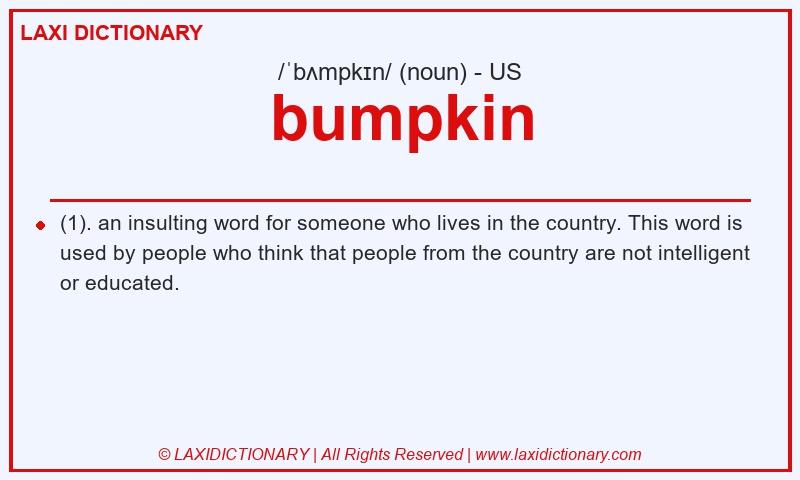 Definition bumpkin in American English