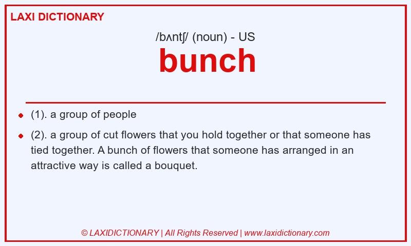 Definition bunch in American English