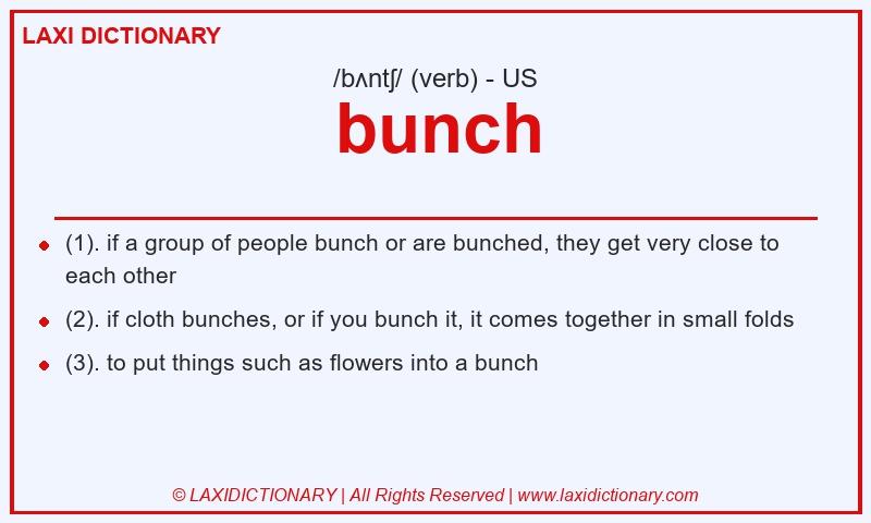 Definition bunch in American English