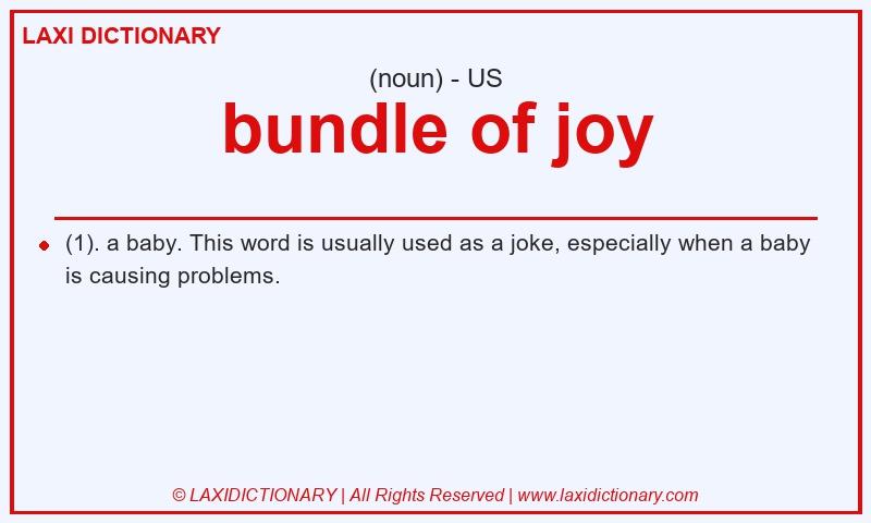 Definition bundle of joy in American English