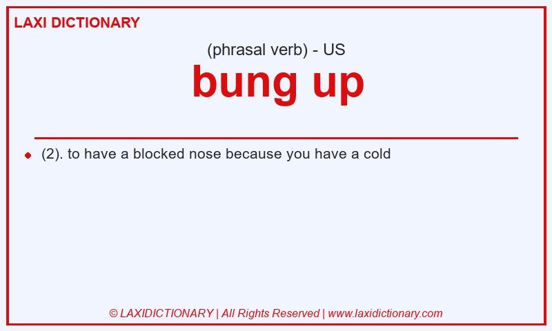 Definition bung up in American English