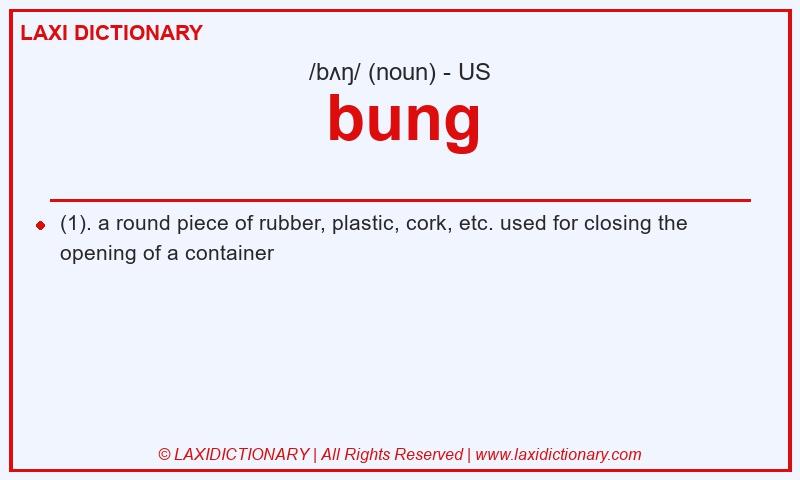 Definition bung in American English