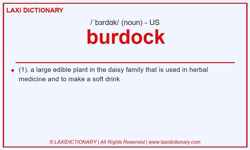 Definition burdock in American English