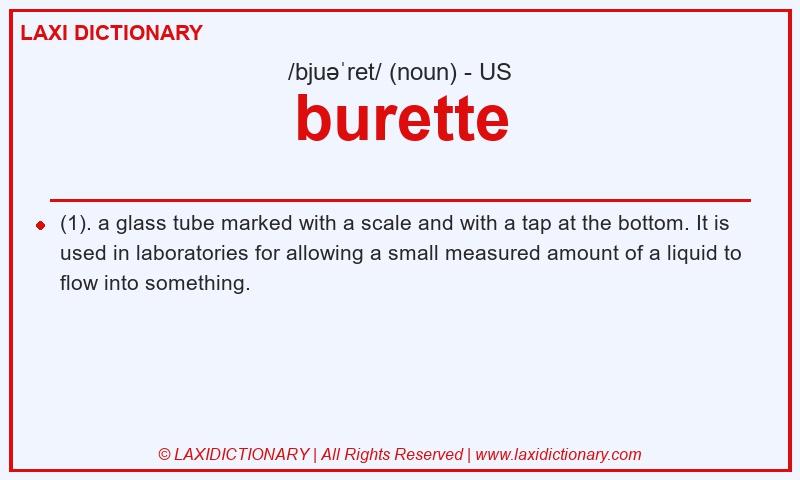 Definition burette in American English
