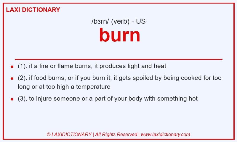 Definition burn in American English