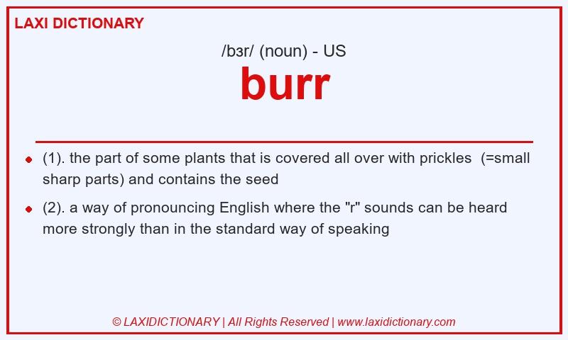 Definition burr in American English