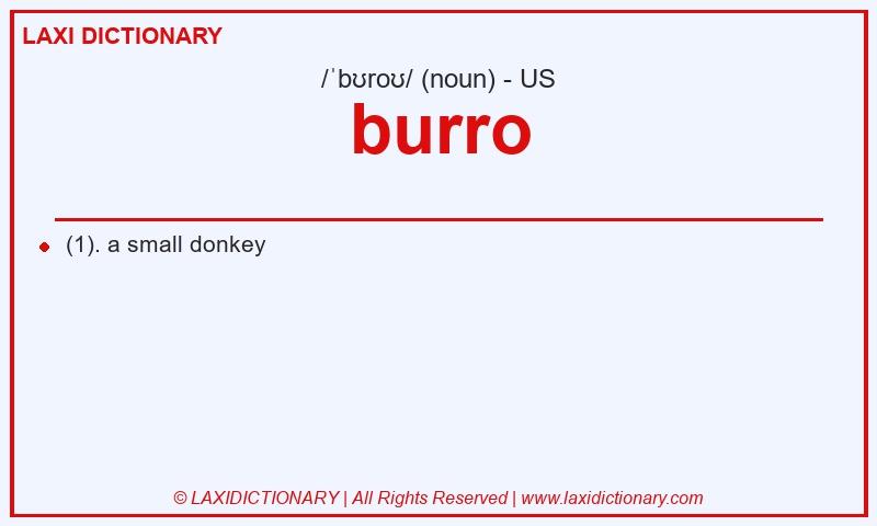 Definition burro in American English