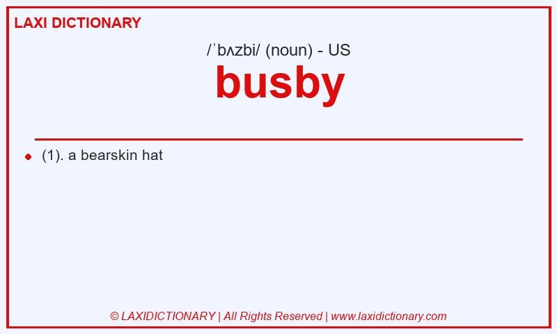 Definition busby in American English