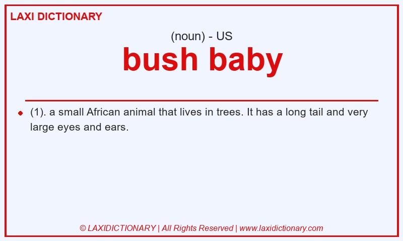 Definition bush baby in American English