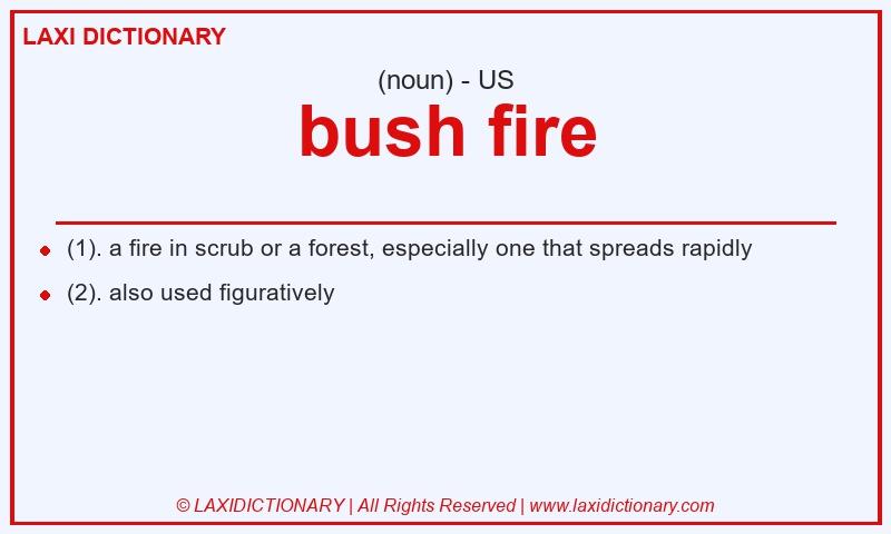 Definition bush fire in American English