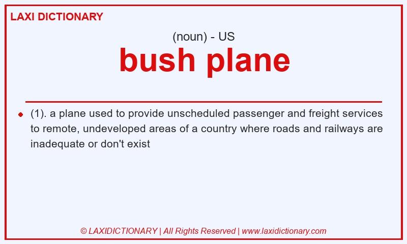 Definition bush plane in American English