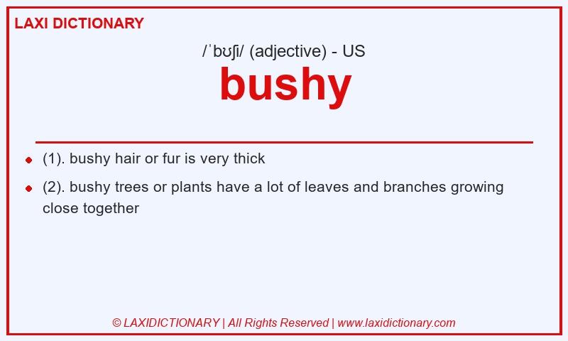 Definition bushy in American English