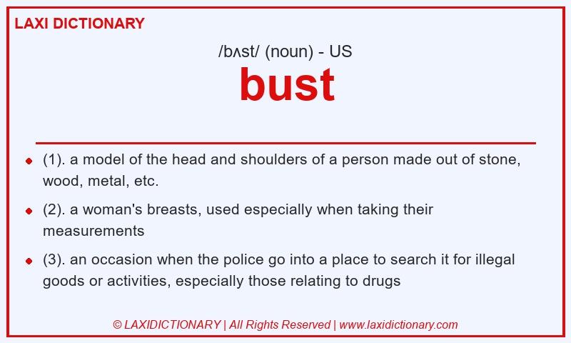 Definition bust in American English