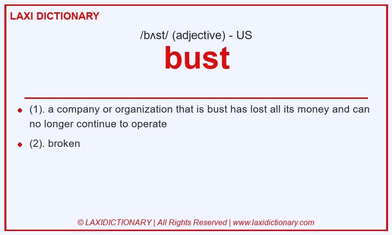 Definition bust in American English