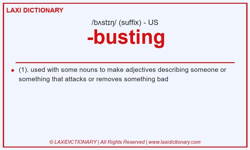 Definition -busting in American English