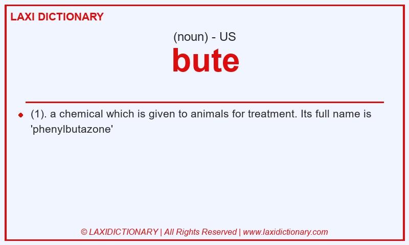 Definition bute in American English