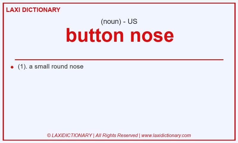 Definition button nose in American English
