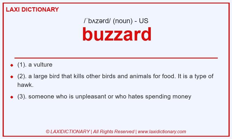 Definition buzzard in American English