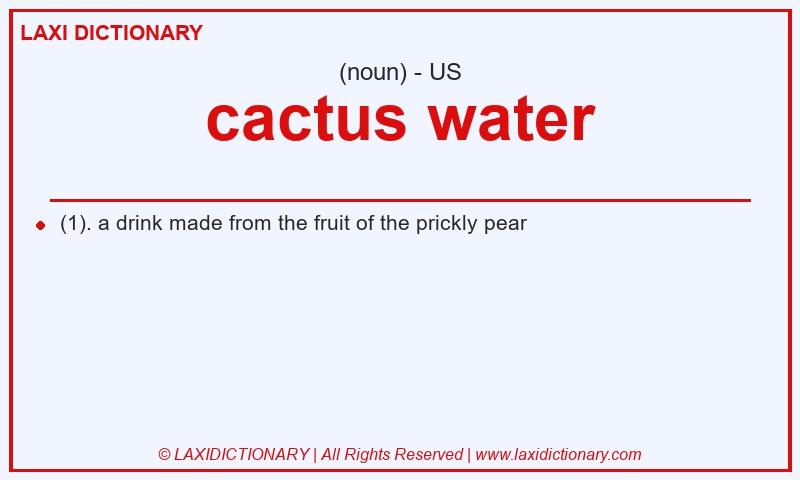 Definition cactus water in American English