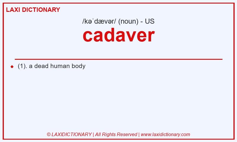 Definition cadaver in American English