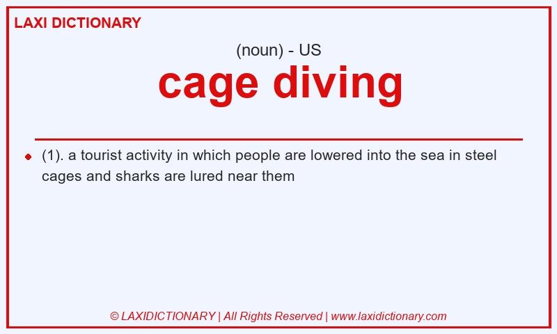 Definition cage diving in American English