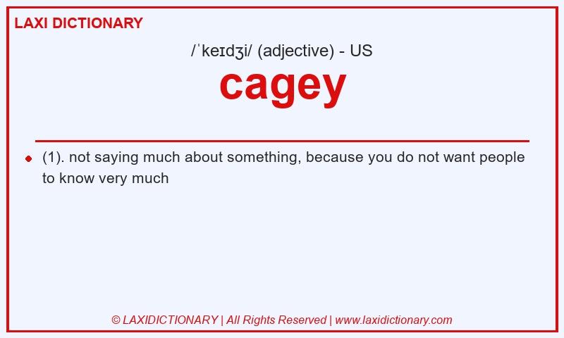 Definition cagey in American English
