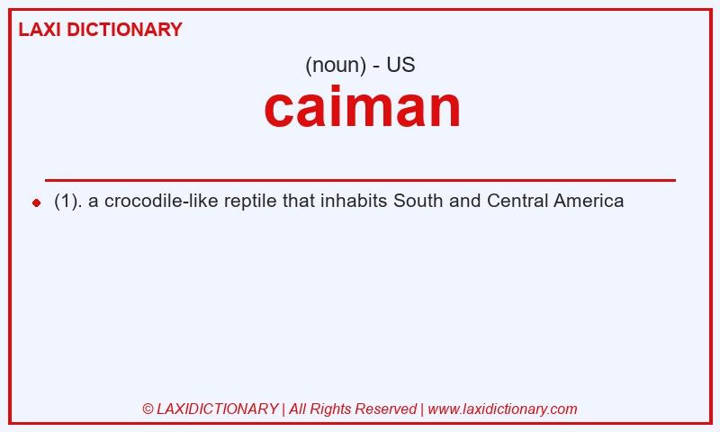 Definition caiman in American English