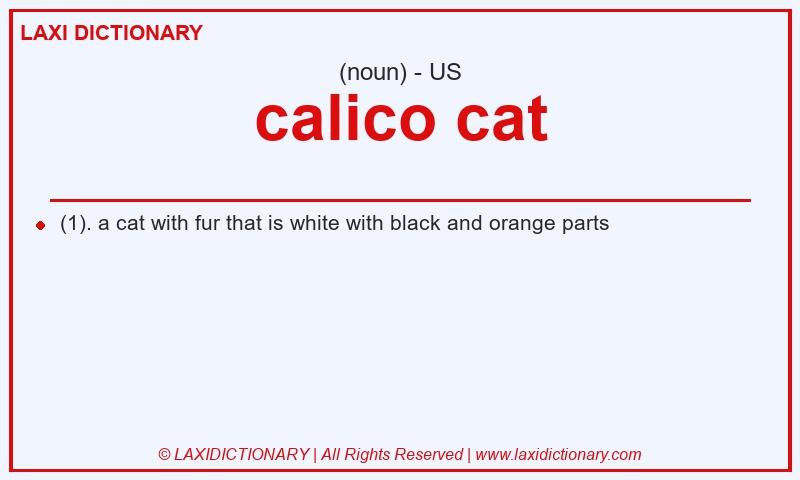 Definition calico cat in American English