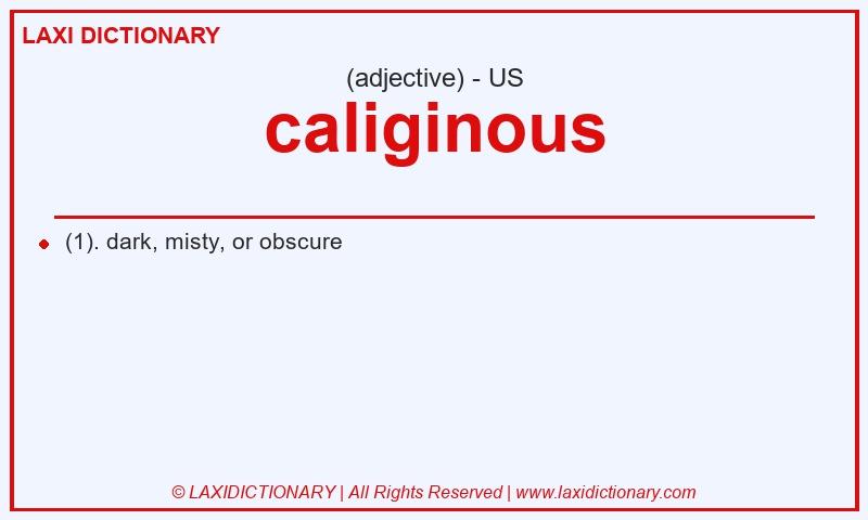 Definition caliginous in American English