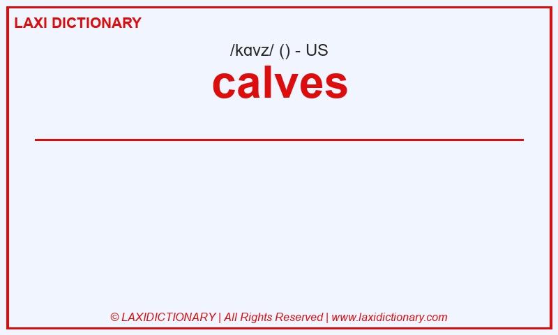 Definition calves in American English